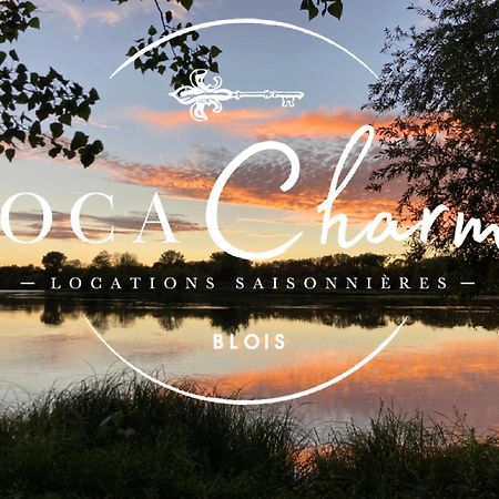 "Gite Le Relais Viennois" Vue Sur Loire & Linge Inclus Blois Exteriör bild
